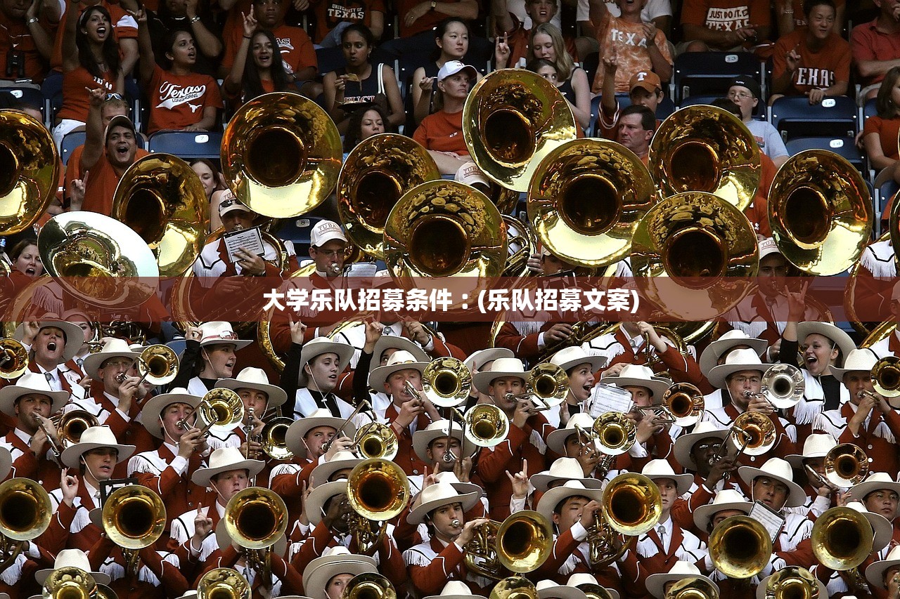 大学乐队招募条件︰(乐队招募文案) 大学乐队招募条件︰(乐队招募文案)