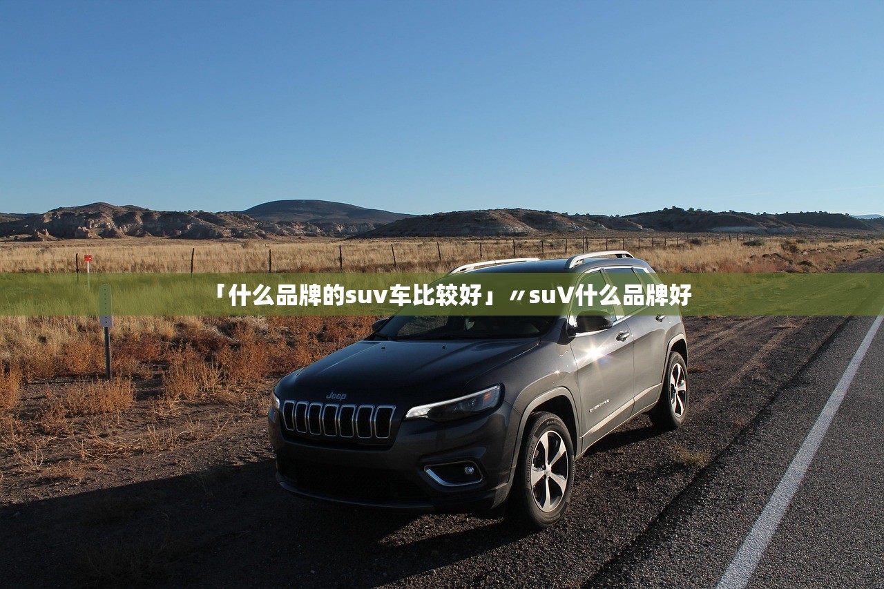 「什么品牌的suv车比较好」〃suV什么品牌好