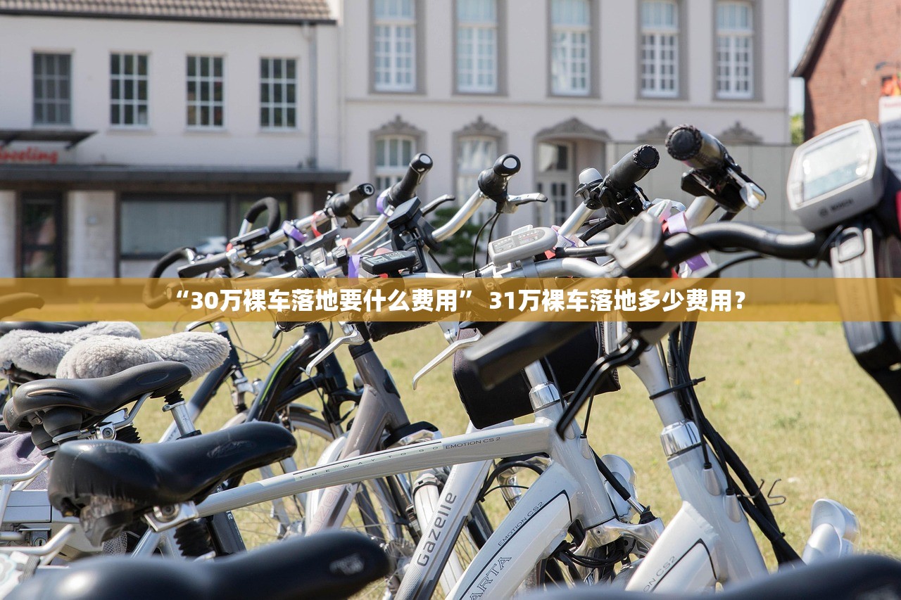 “30万裸车落地要什么费用	” 31万裸车落地多少费用？